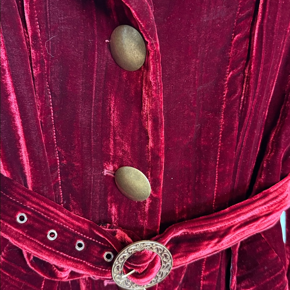 Cynthia Steffe Velvet Long Sleeve Dress in Rich Burgundy - Picture 5 of 10